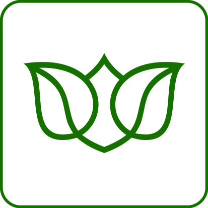 Česká správa sociálního zabezpečení