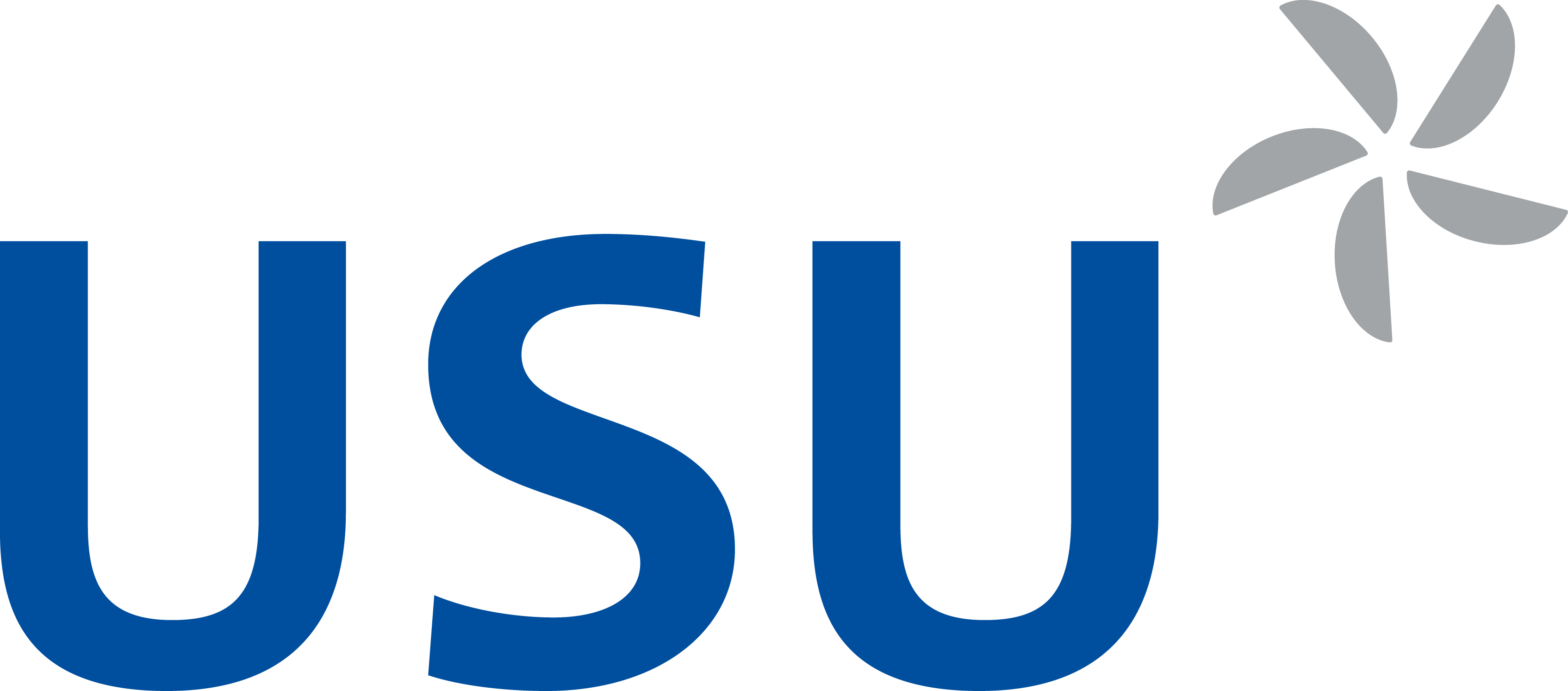 USU Software, s.r.o.
