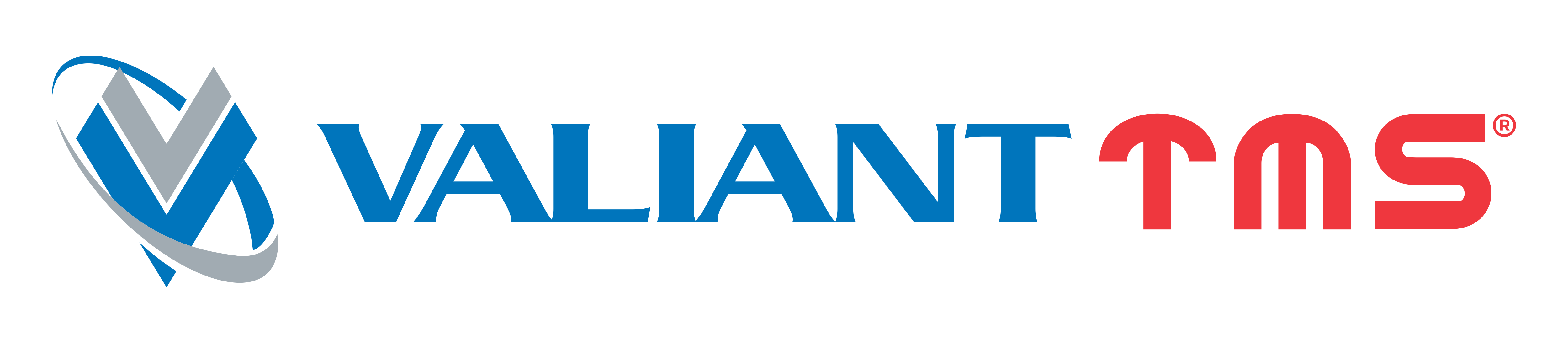 VALIANT - TMS Czech s.r.o. 