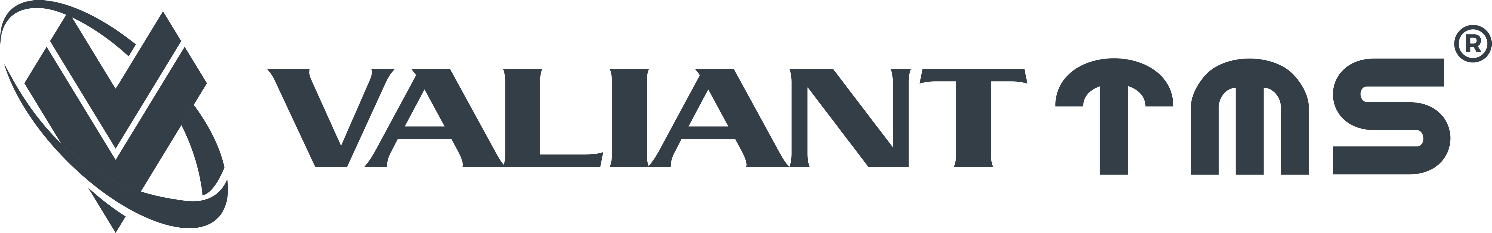 VALIANT - TMS Czech s.r.o. 