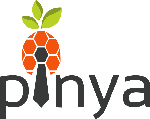 PINYA s.r.o.